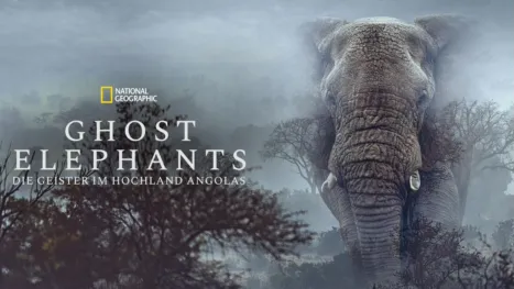 thumbnail - Ghost Elephants: Die Geister im Hochland Angolas