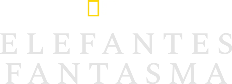 Elefantes fantasma