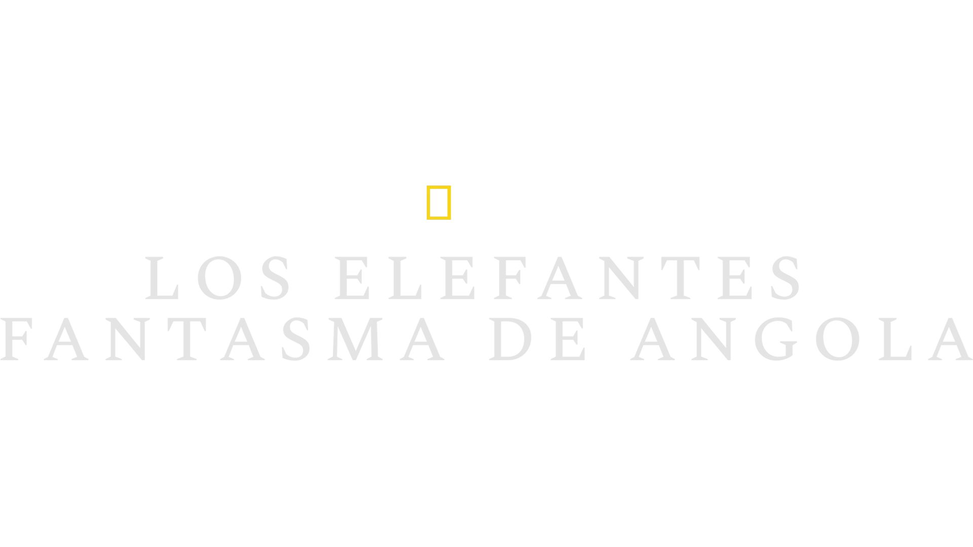 Los elefantes fantasma de Angola
