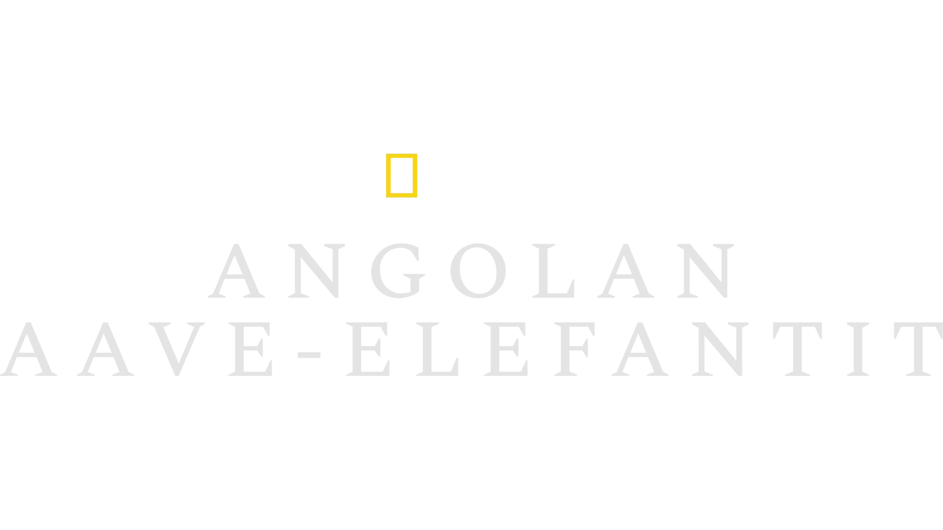 Angolan aave-elefantit