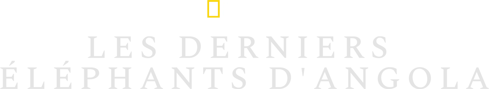Les derniers éléphants d'Angola