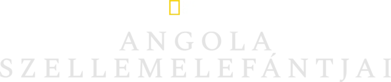 Angola szellemelefántjai
