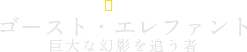 ゴースト・エレファント～巨大な幻影を追う者