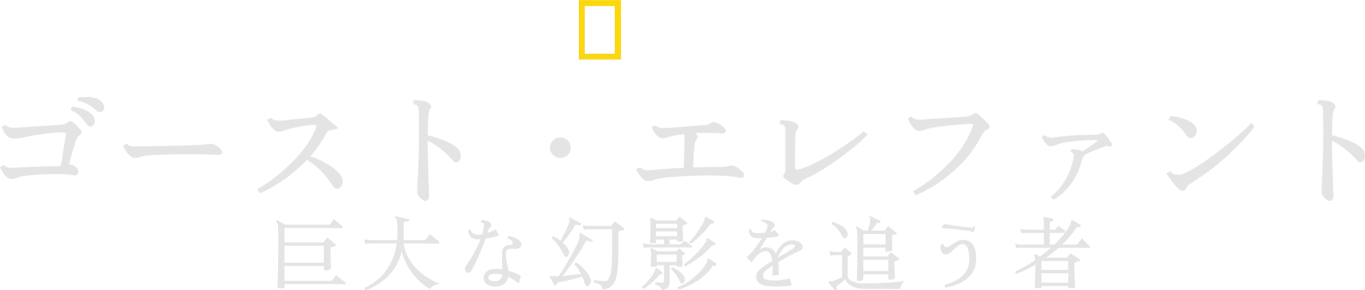 ゴースト・エレファント～巨大な幻影を追う者