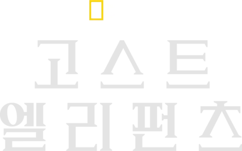 고스트 엘리펀츠