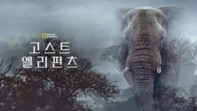 thumbnail - 고스트 엘리펀츠