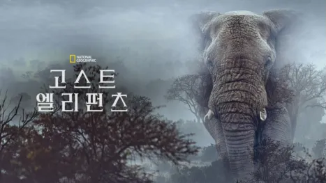 thumbnail - 고스트 엘리펀츠