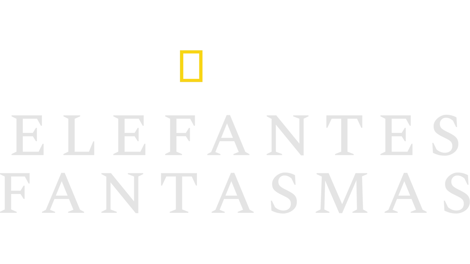 Elefantes Fantasmas