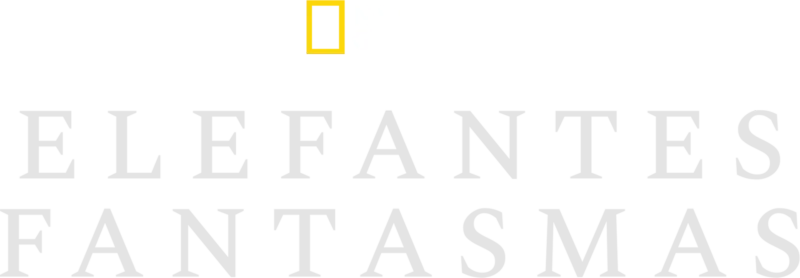 Elefantes Fantasmas