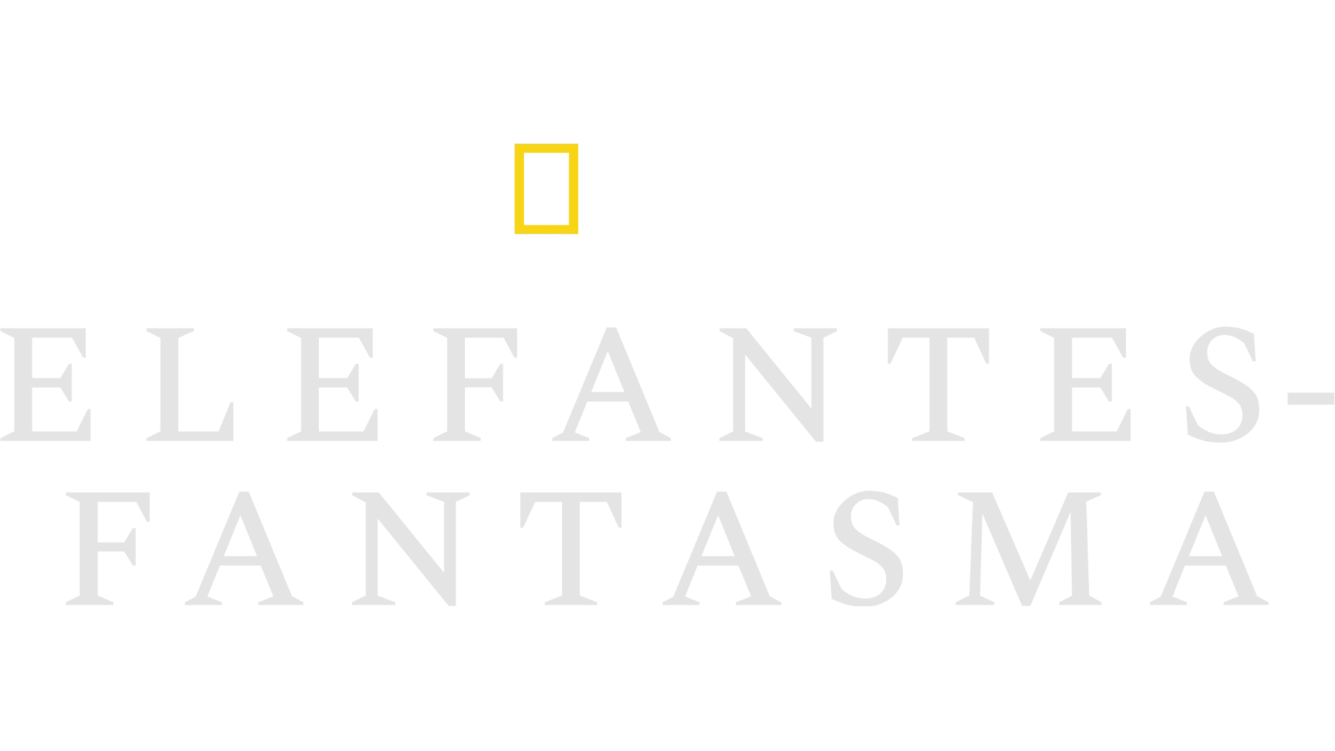 Elefantes-fantasma