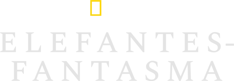 Elefantes-fantasma