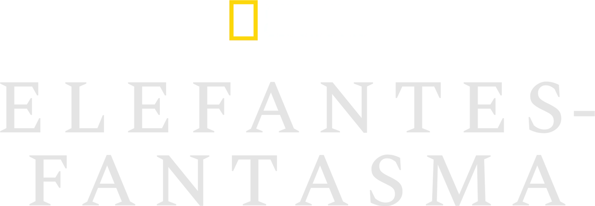 Elefantes-fantasma