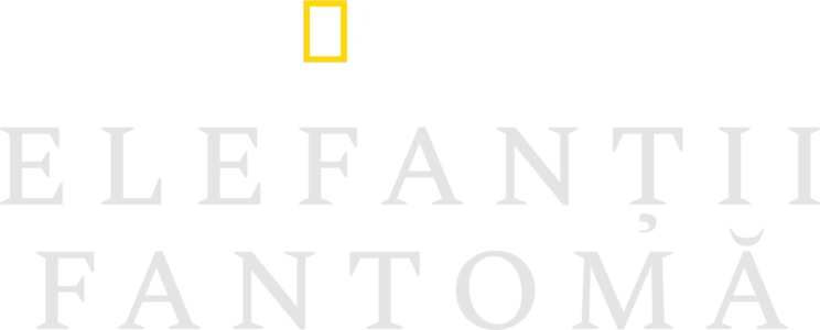 Elefanții fantomă