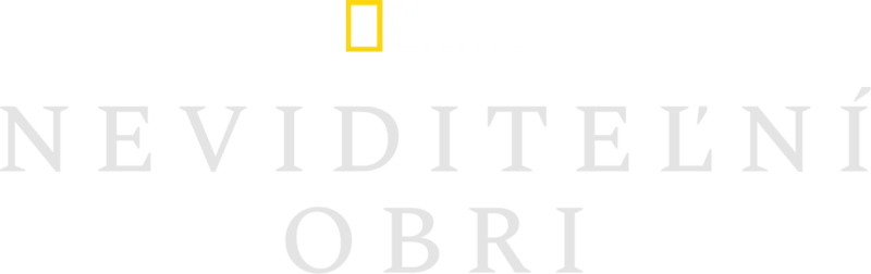 Neviditeľní obri