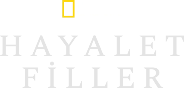 Hayalet Filler
