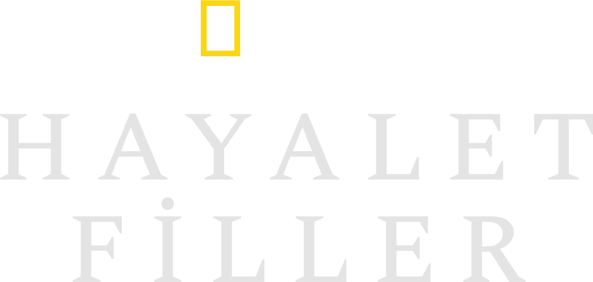 Hayalet Filler