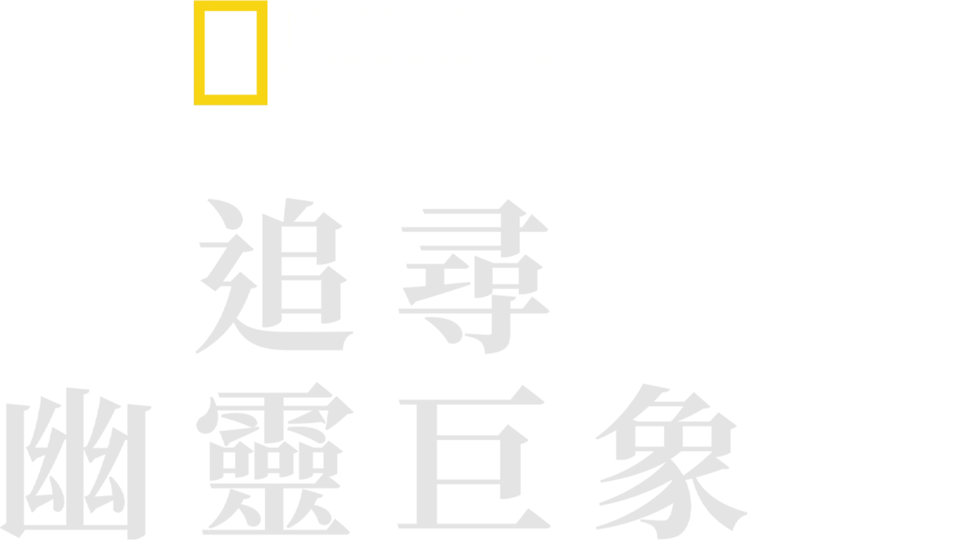 追尋幽靈巨象