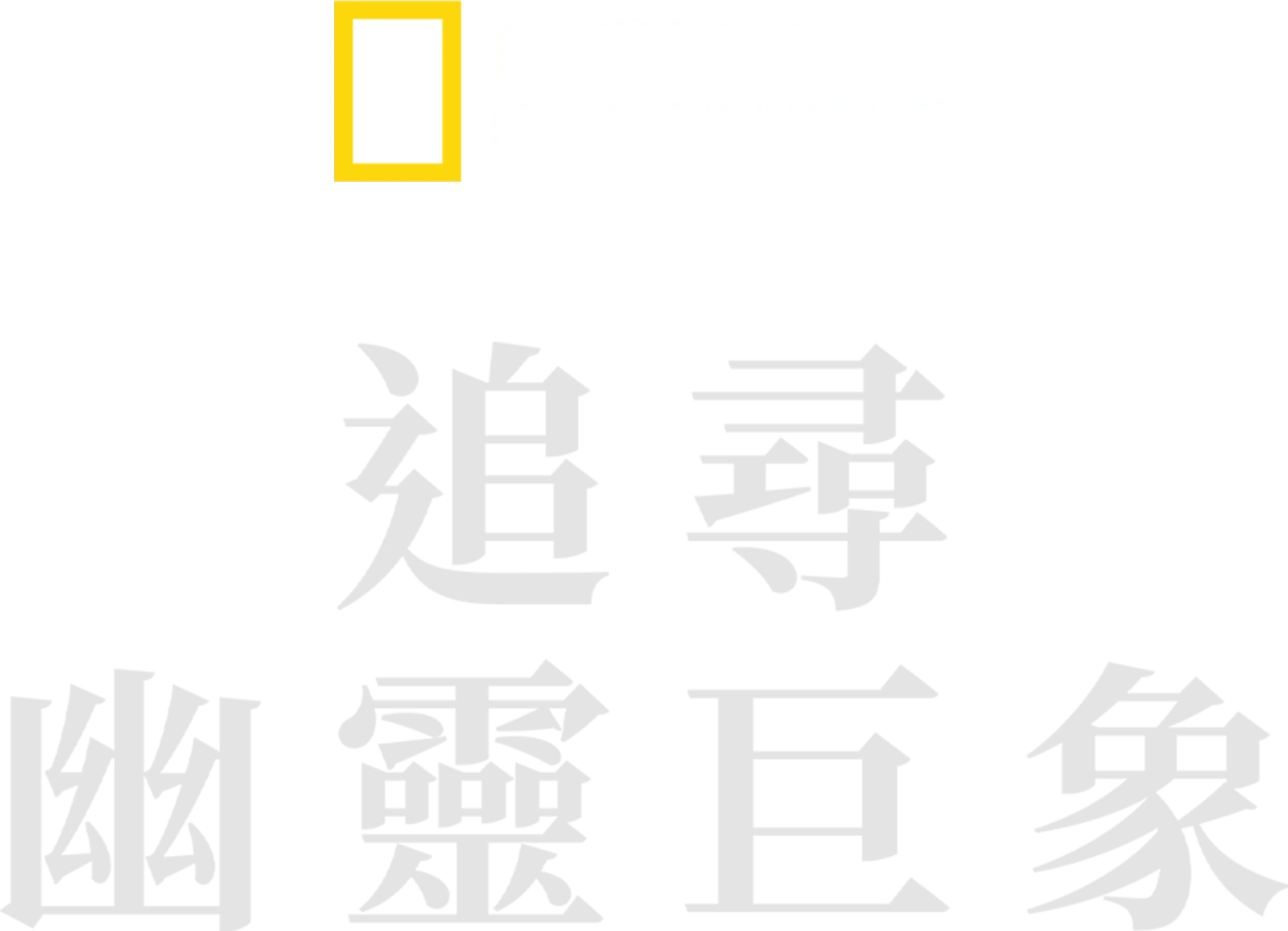追尋幽靈巨象