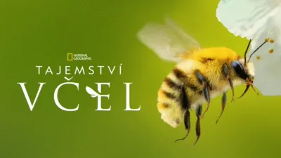 thumbnail - Tajemství včel