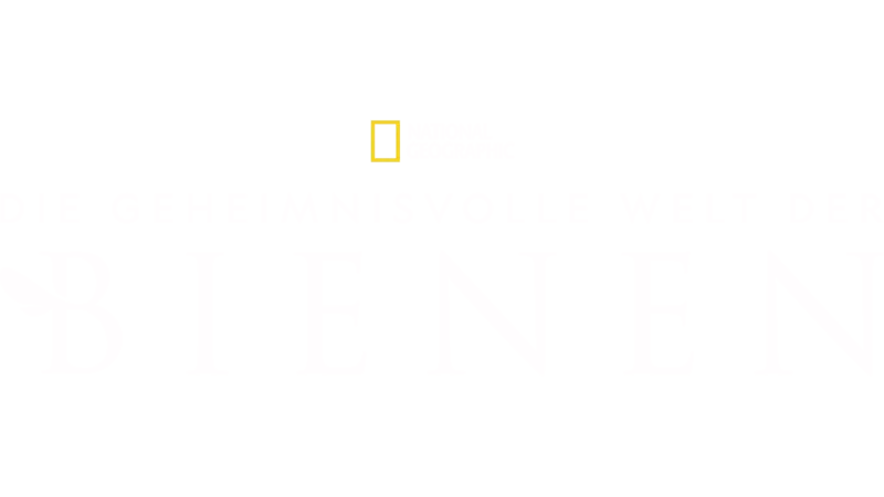 Die geheimnisvolle Welt der Bienen