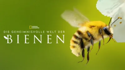 thumbnail - Die geheimnisvolle Welt der Bienen