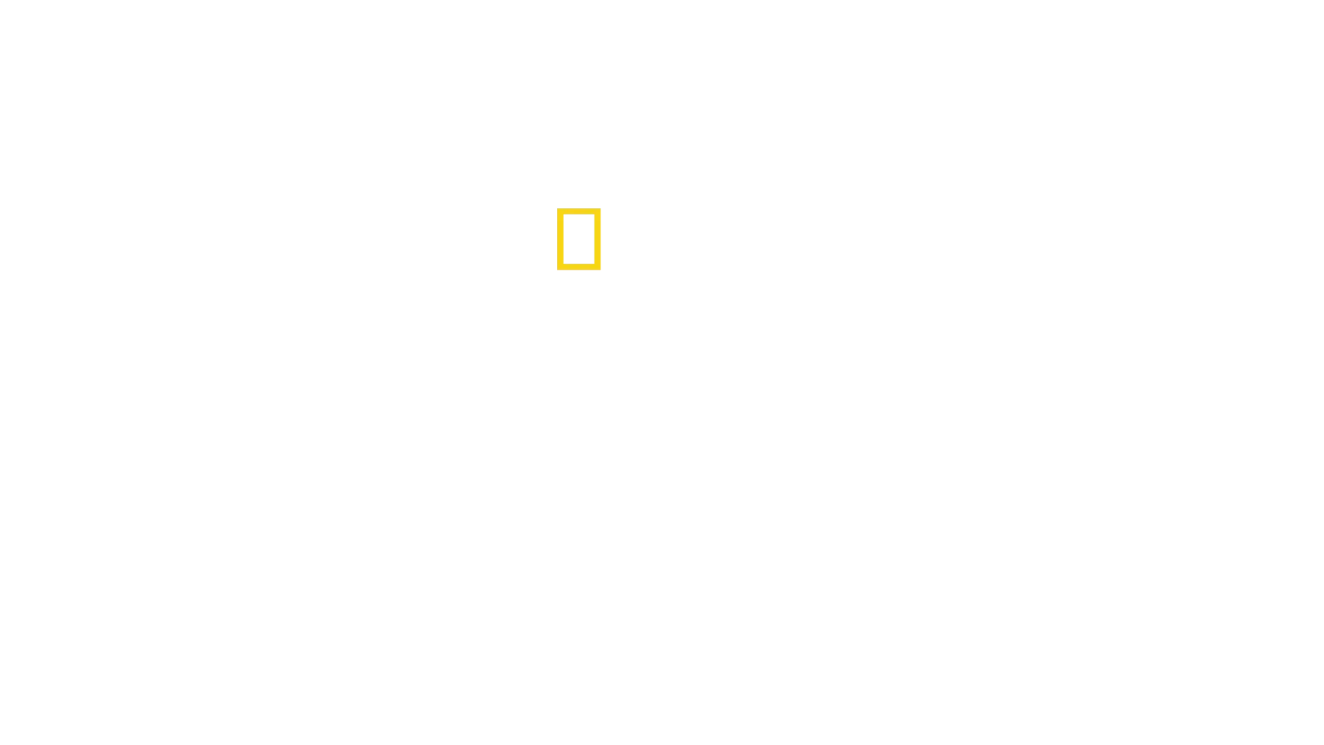 Μυστικά των Μελισσών