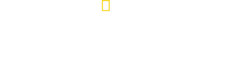 Μυστικά των Μελισσών