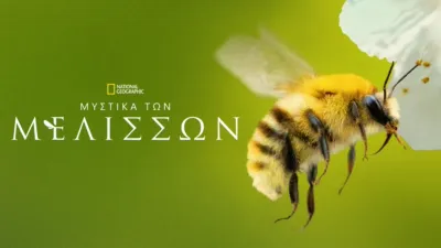 thumbnail - Μυστικά των Μελισσών