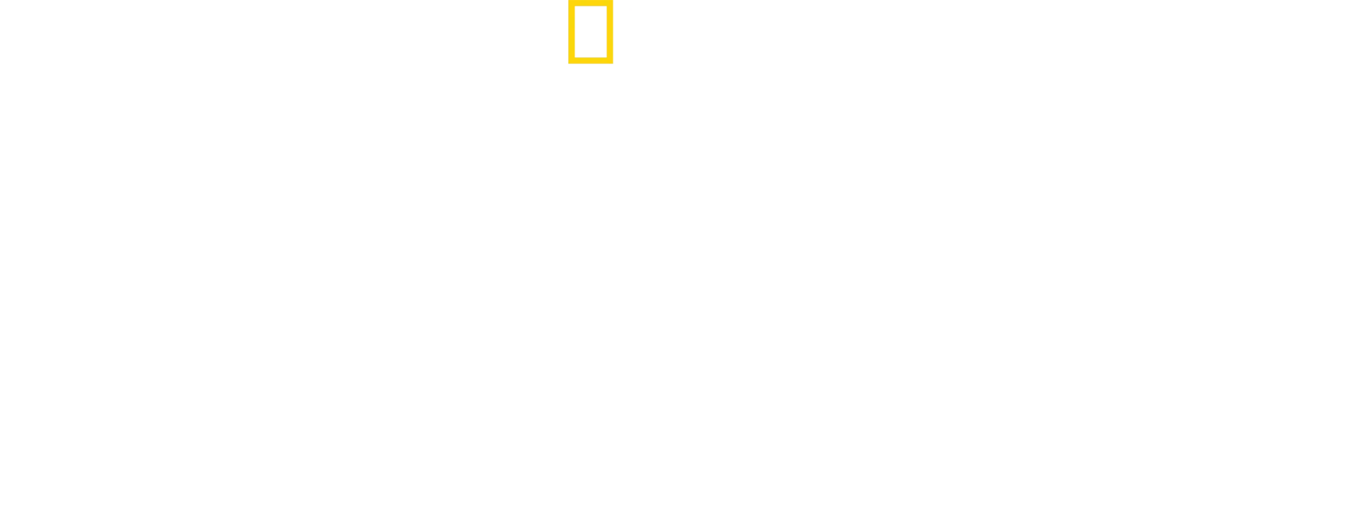 Los secretos de las abejas