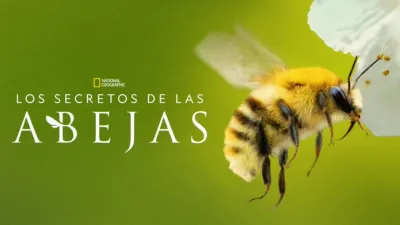 thumbnail - Los secretos de las abejas