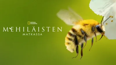 thumbnail - Secrets of the Bees