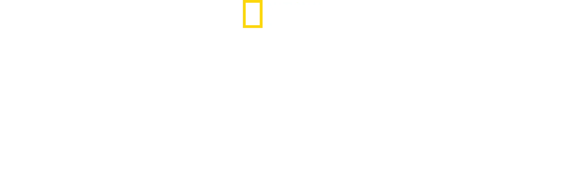 Les Secrets des abeilles