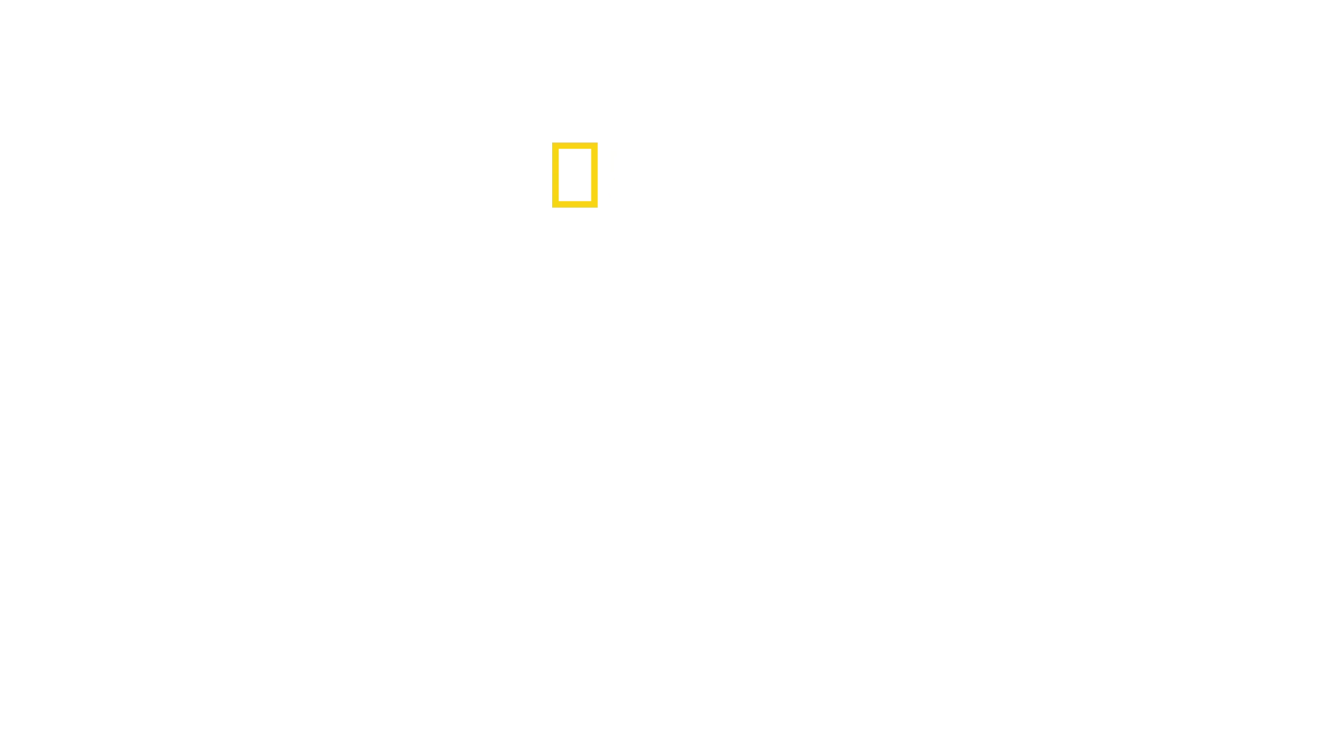 A méhek titkai