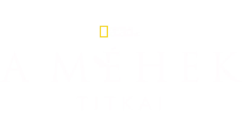 A méhek titkai