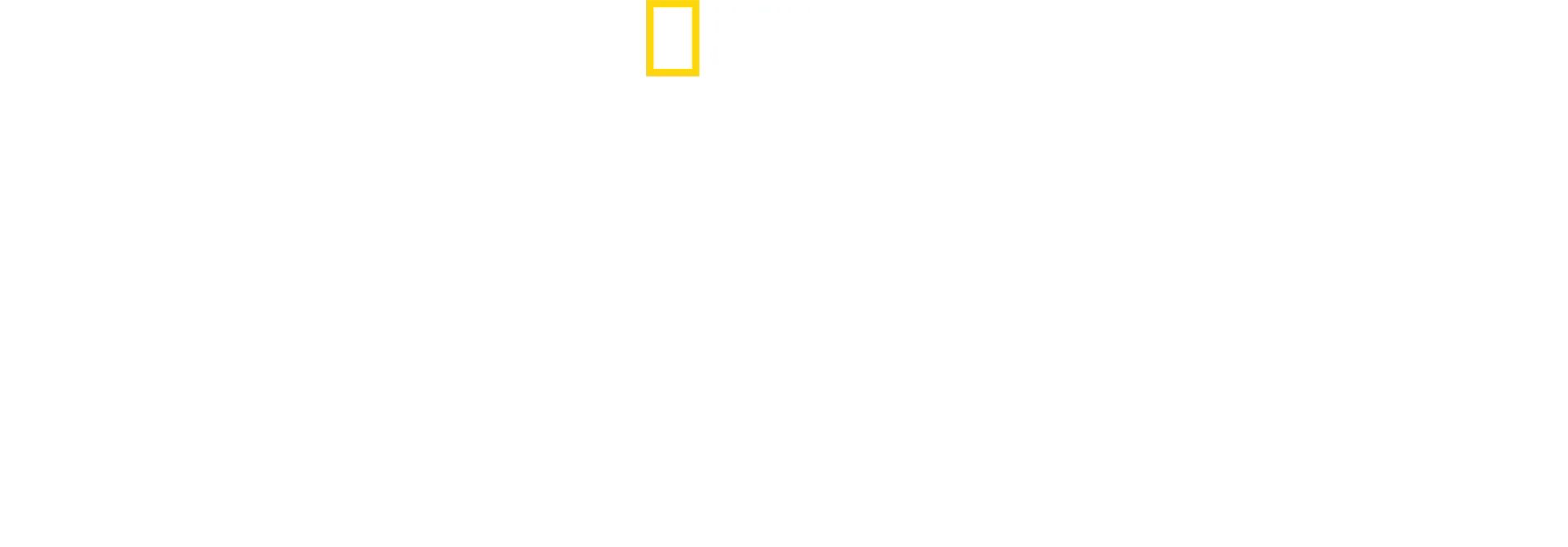 A méhek titkai