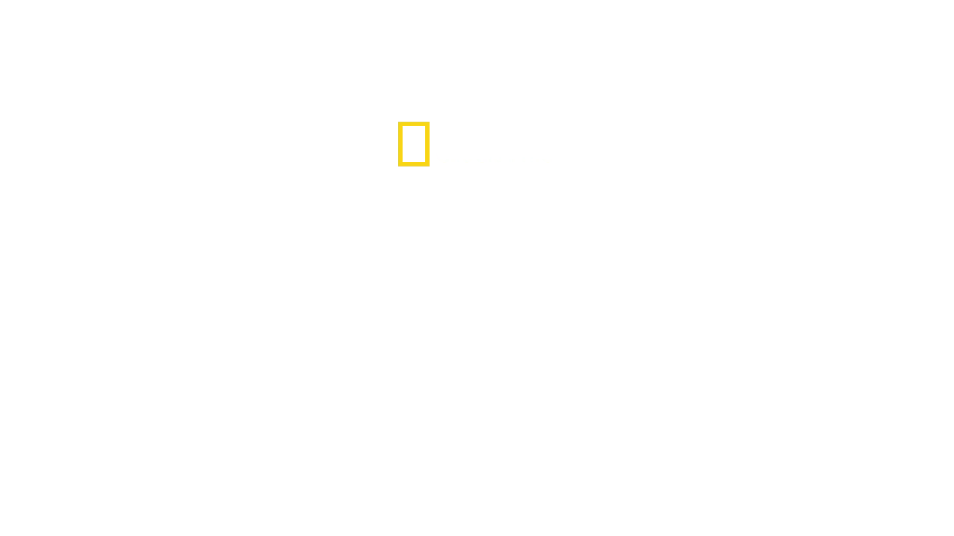 I segreti delle api