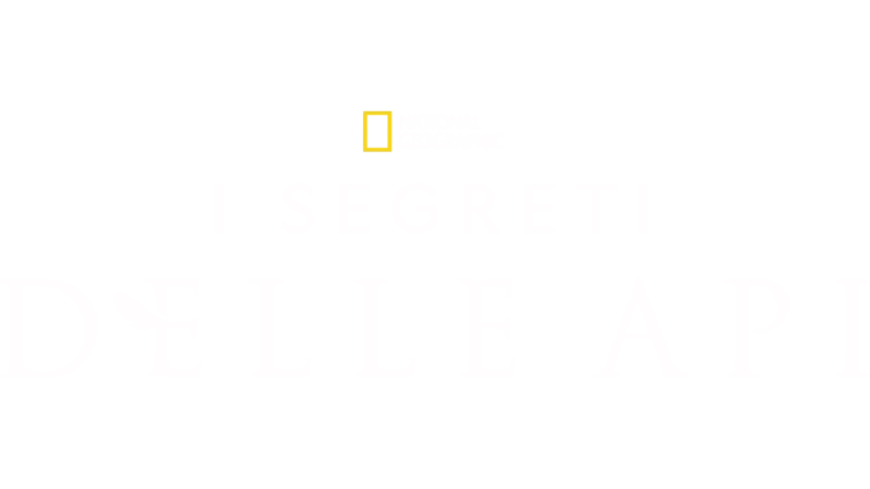 I segreti delle api