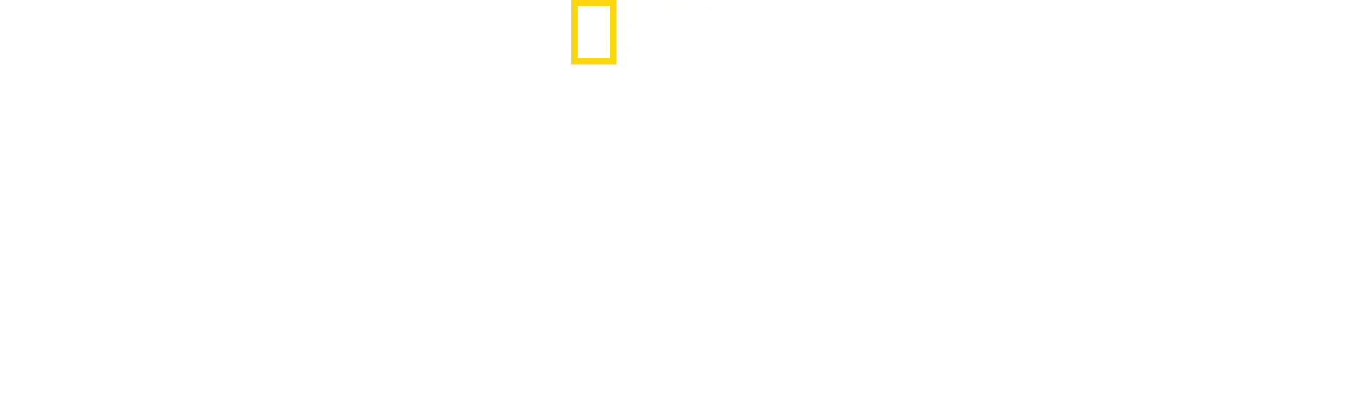 I segreti delle api