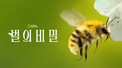 thumbnail - 벌의 비밀