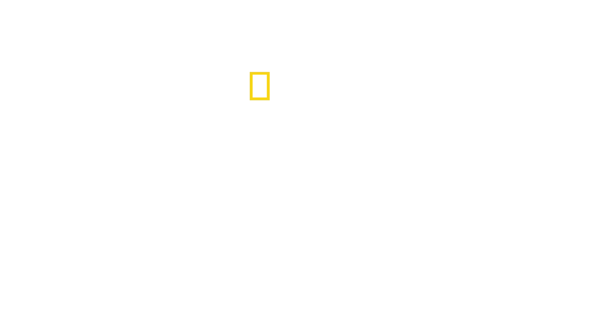 Sekretne życie pszczół