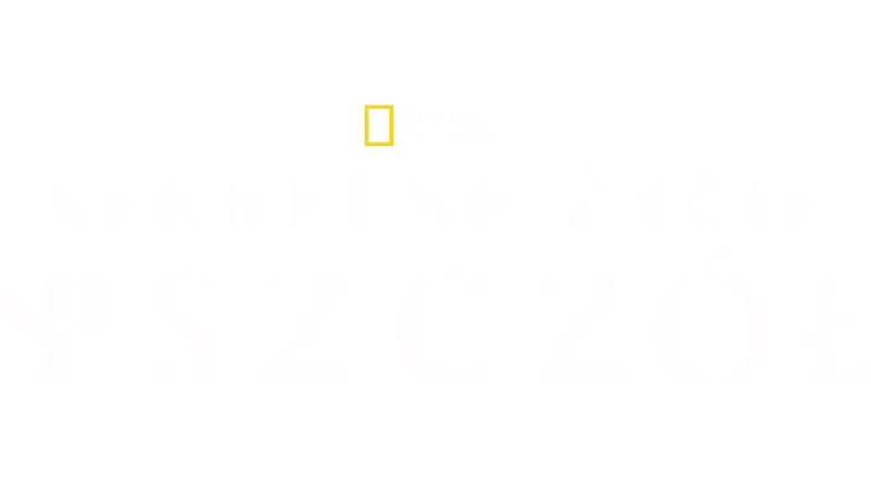 Sekretne życie pszczół