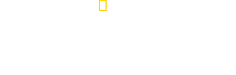 Sekretne życie pszczół