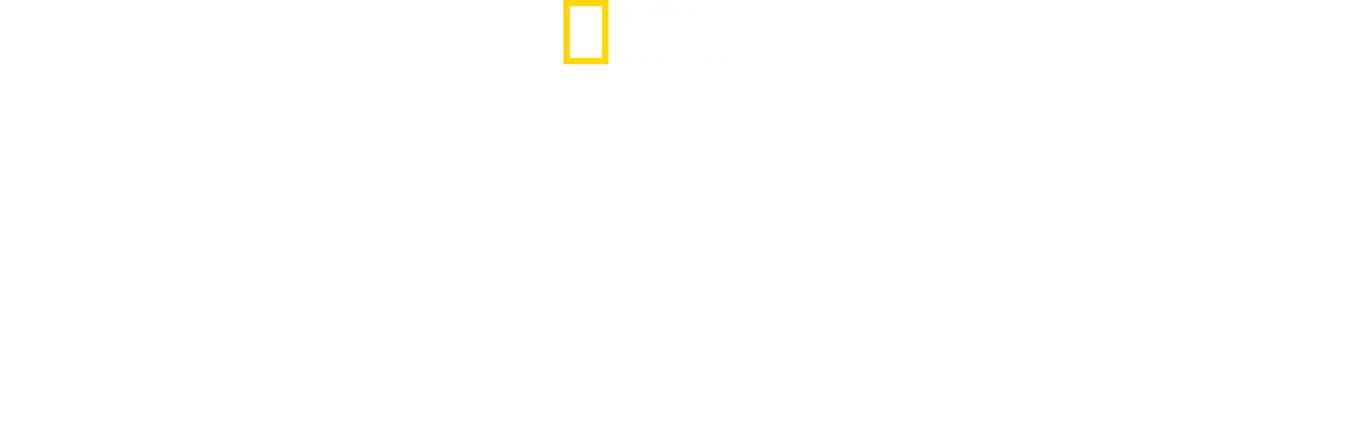 Sekretne życie pszczół