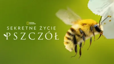 thumbnail - Sekretne życie pszczół