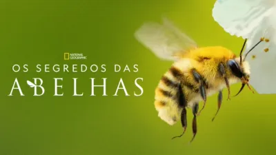 thumbnail - Os Segredos das Abelhas