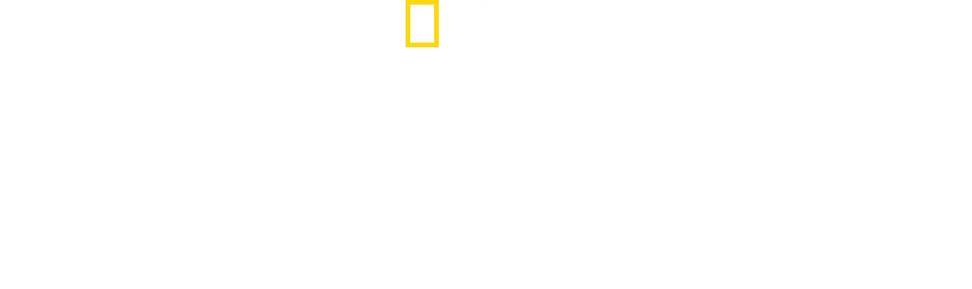 Secretele albinelor