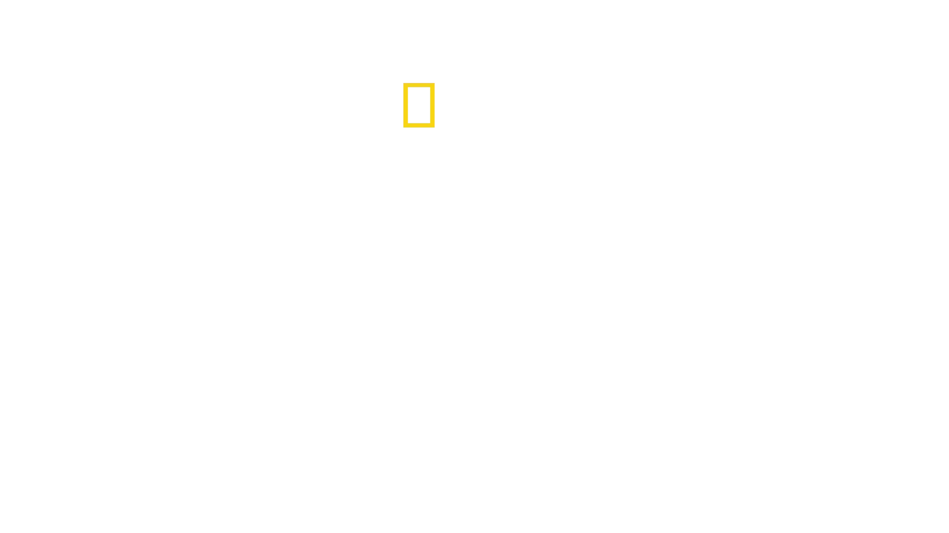 Tajomstvá včiel