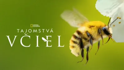 thumbnail - Tajomstvá včiel