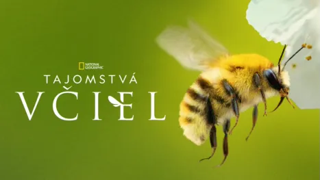 thumbnail - Tajomstvá včiel