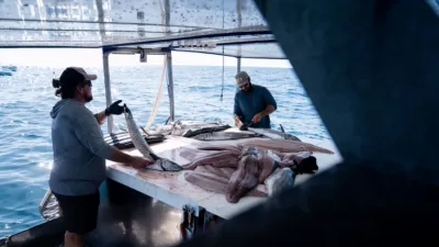 thumbnail - S1:E3 The Wildcard Erupts